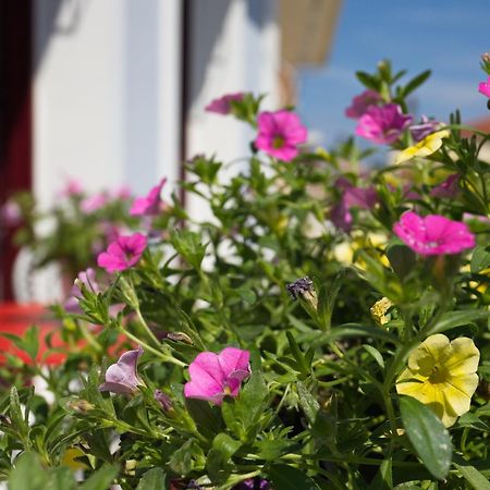 Casa Di Fiori Apartment Lefkada City Ngoại thất bức ảnh