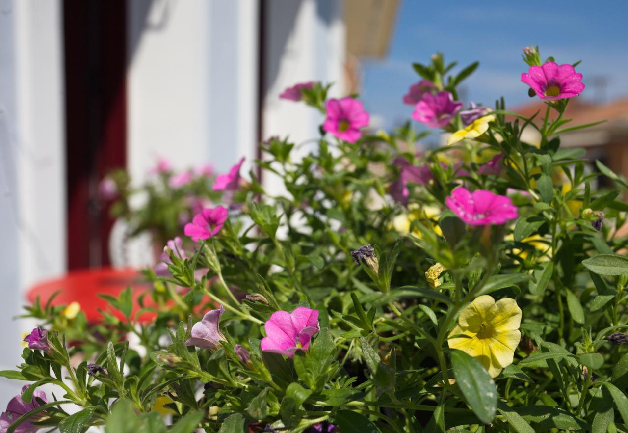 Casa Di Fiori Apartment Lefkada City Ngoại thất bức ảnh